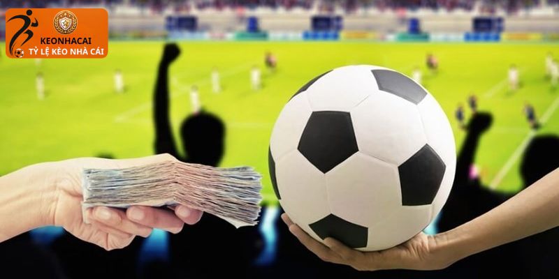 Kinh nghiệm tham gia cá cược bóng đá luôn thắng
