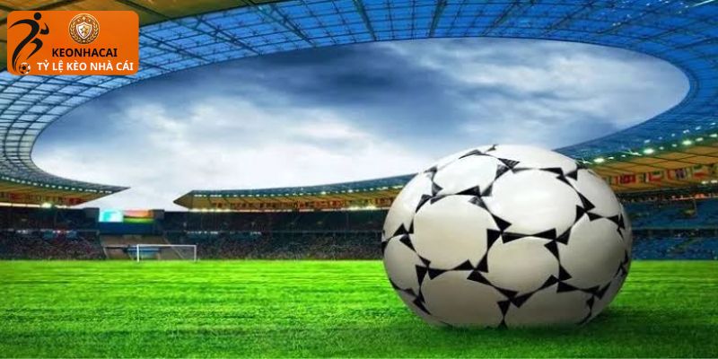 Mẹo hay cược kết hợp hiệu quả cho thành viên mới