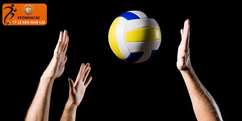 Tham gia cá cược bóng chuyền với tỷ lệ kèo uy tín