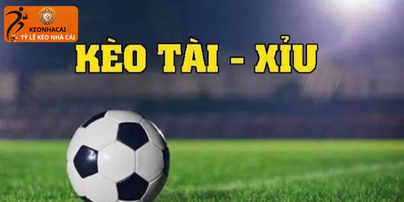 Thông tin hữu ích về loại kèo được nhiều người chú ý